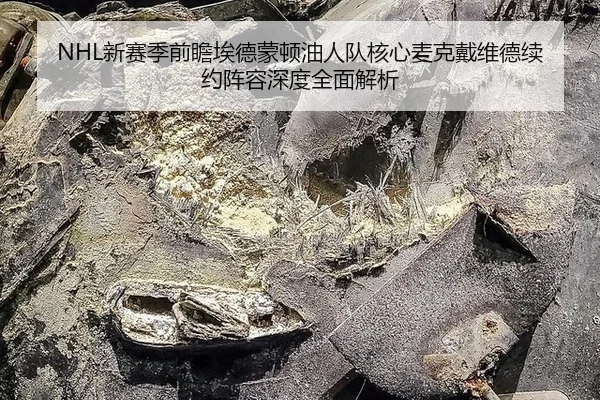 xin-sai-ji-qian-zhan-ai-de-meng-dun-you-ren-dui-he-xin-mai-ke-dai-wei-de-xu-yue-zhen-rong-shen-du-quan-mian-jie-xi-3-657.jpg