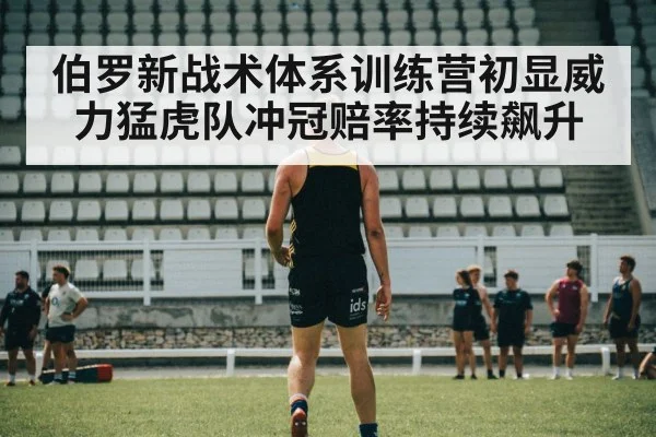 伯罗新战术体系训练营初显威力猛虎队冲冠赔率持续飙升