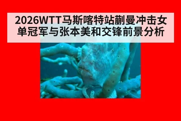 2026WTT马斯喀特站蒯曼冲击女单冠军与张本美和交锋前景分析